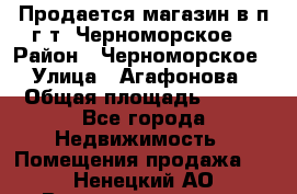 Продается магазин в п.г.т. Черноморское  › Район ­ Черноморское › Улица ­ Агафонова › Общая площадь ­ 100 - Все города Недвижимость » Помещения продажа   . Ненецкий АО,Великовисочное с.